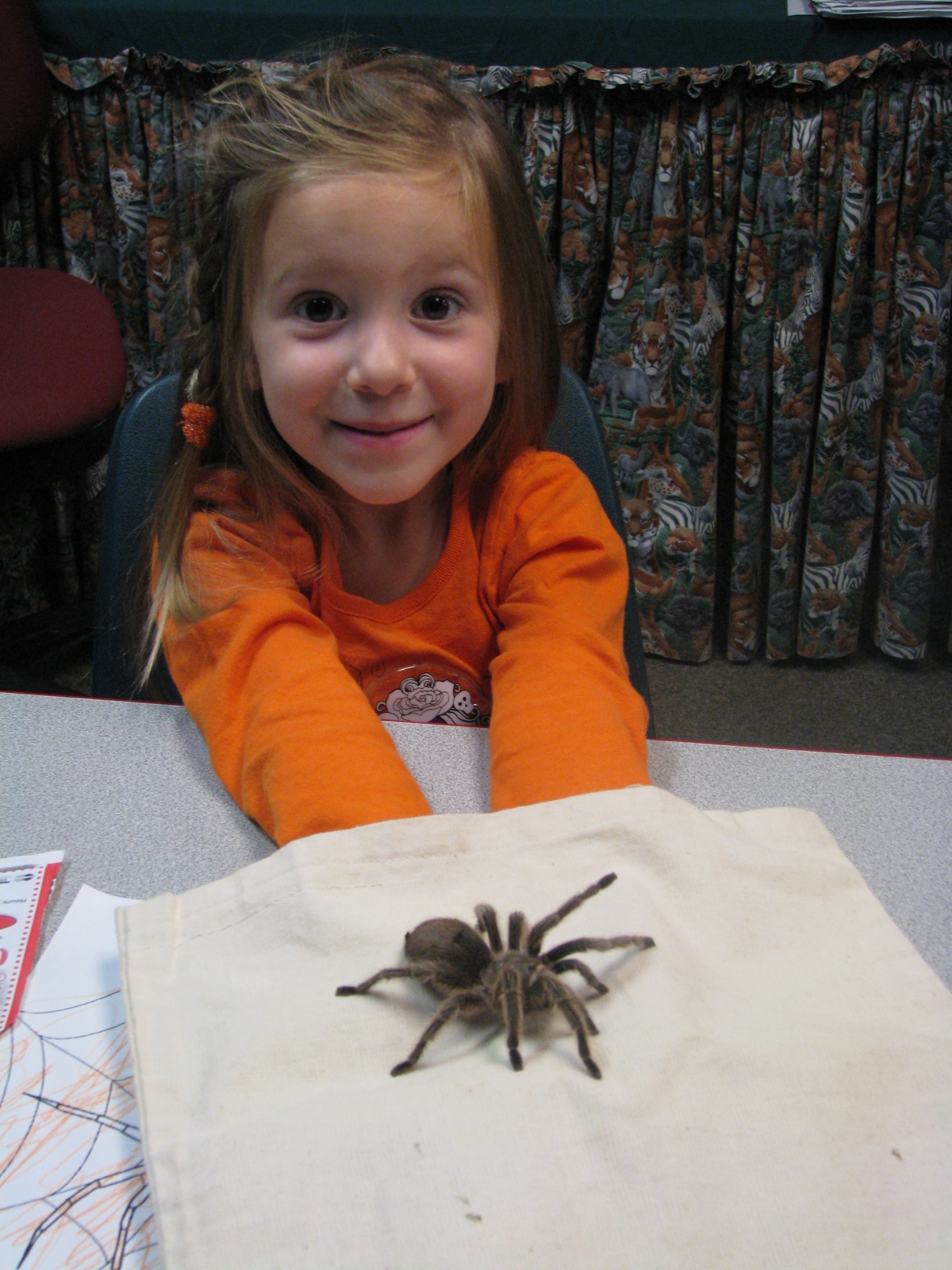 girl with tarantula.jpg
